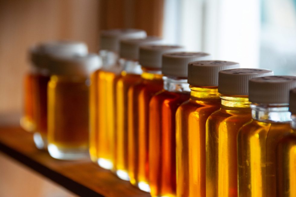 Maple Syrup Workshops