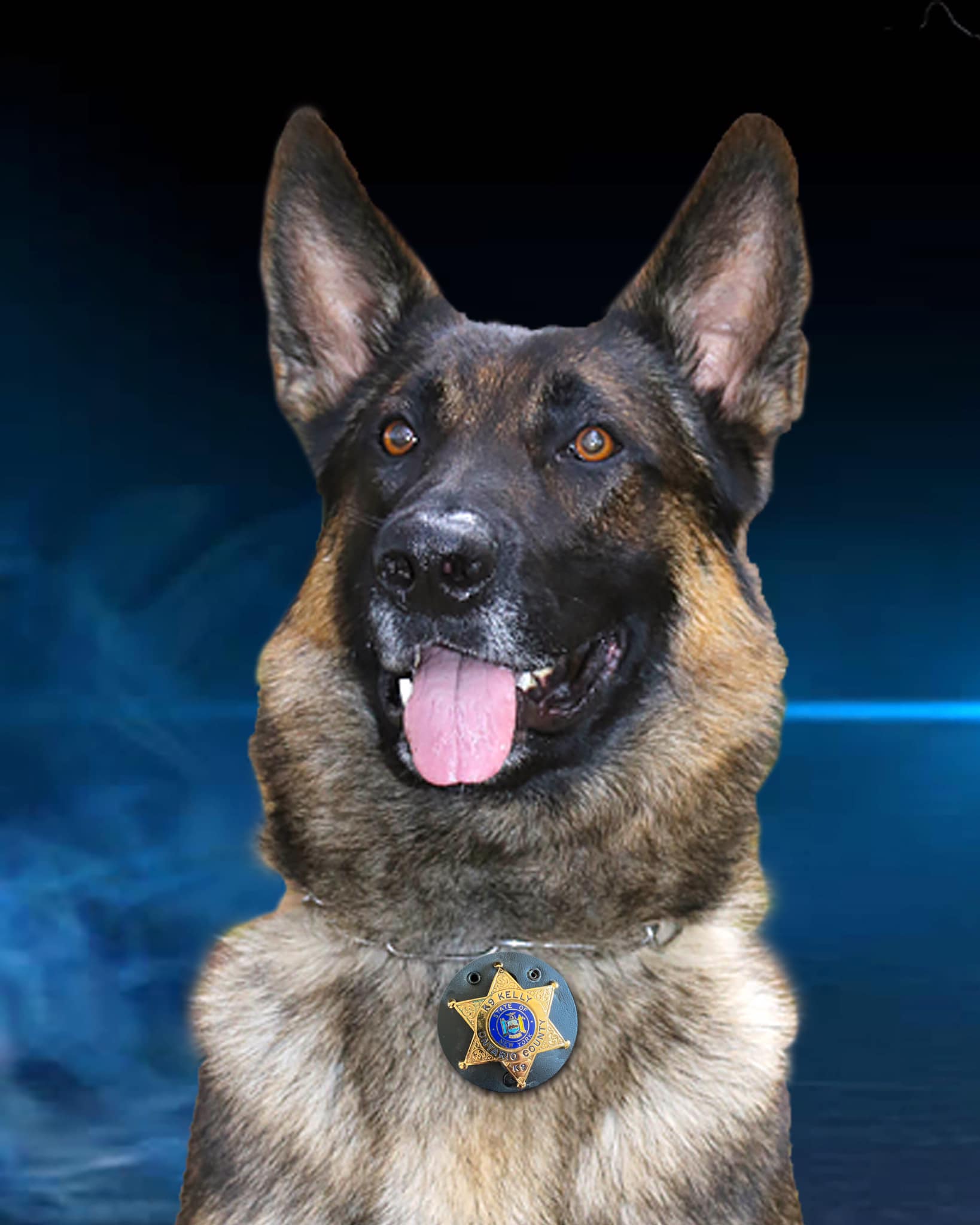 Ontario County Sheriff’s K9 Kelly Retires