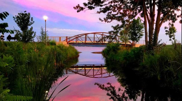 FLX MORNING PODCAST – Nancy Taylor, Lake to Lake Women calendar