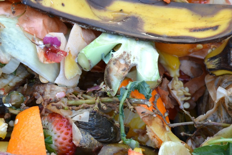 NY Recognized for Composting Regulations