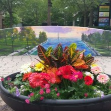 FLX MORNING PODCAST – Stephanie DeVito, Auburn BID