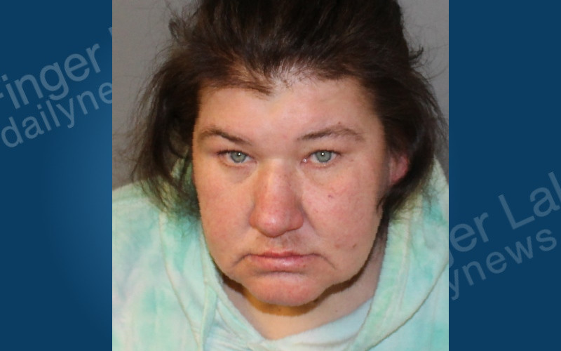 Waterloo Woman Arrested on Seneca Falls Warrant Finger Lakes Daily News
