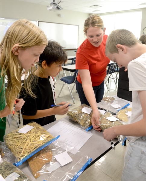 FLCC Offering Summer STEAM Camps