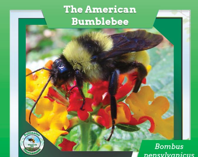 And The Pollinator of the Year in Yates County is……