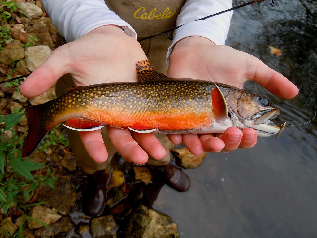 FLX MORNING PODCAST – Mo Tidball Seneca Co Cooperative Extension