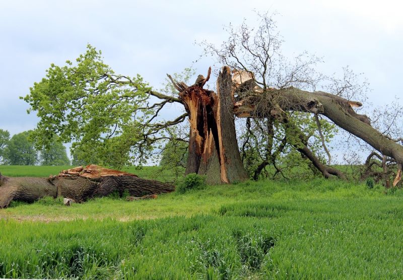 Storms Rip Thru Ontario County