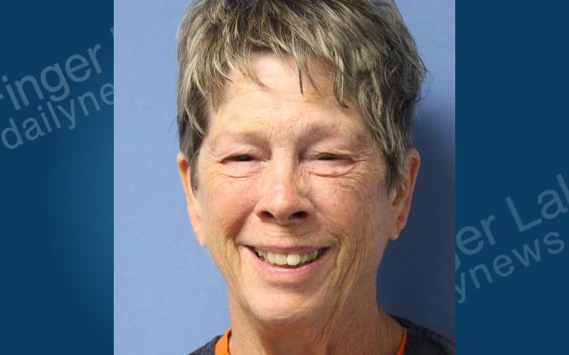 Wayne County Mom Arrested for Damaging Door at Son’s House