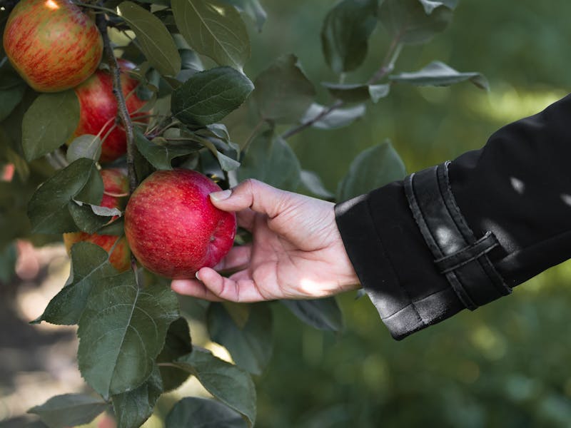 “Growin Around the Glen” Returns to Schuyler County Sunday