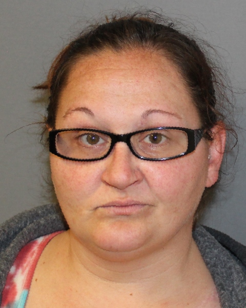Seneca Falls Woman Arrested For DWI