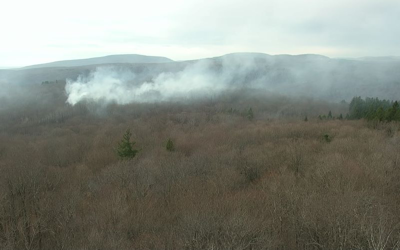Local Firefighters Join Forces to Battle Wildfire in Orange County