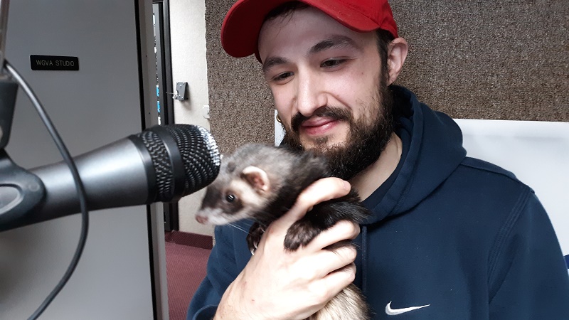 FLX MORNING PODCAST – Wildlife Rockstars, Bridges for Brain Injury