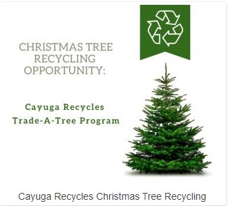 FLX MORNING PODCAST – Auburn City Clerk Chuck Mason