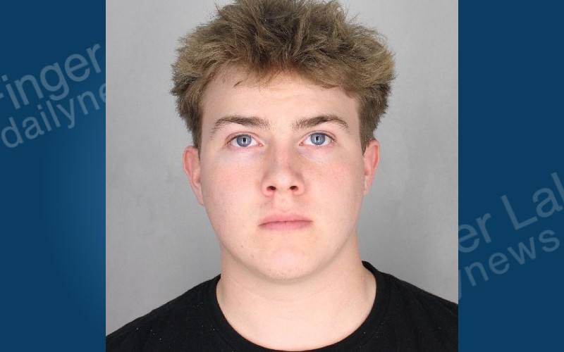 Driver Accused of Possessing Fake License During Traffic Stop