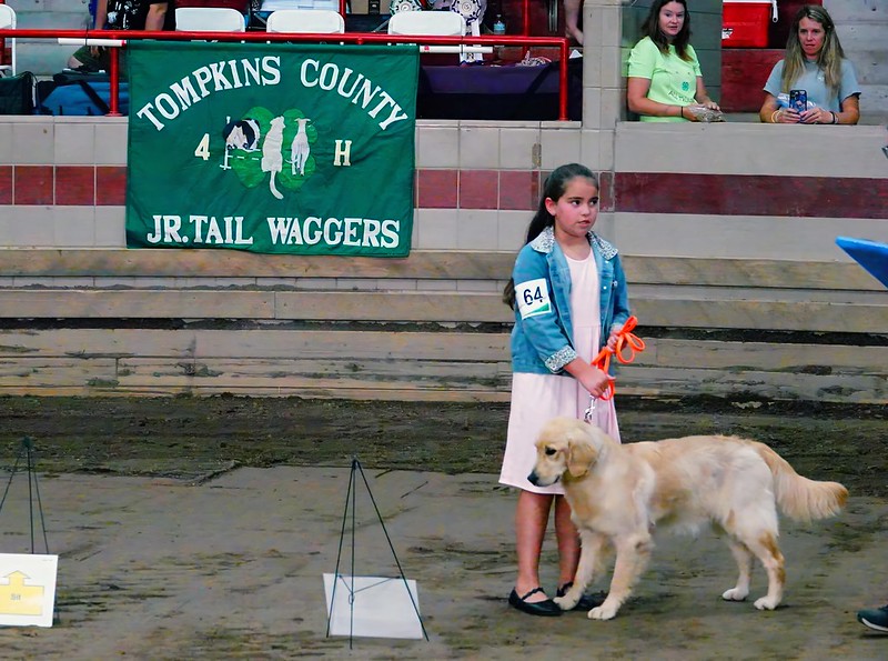 Beef to be Celebrated at State Fair Tuesday