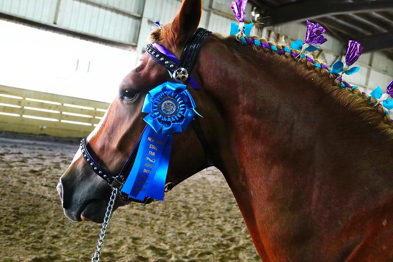 60,000+ Attend Tuesday’s NYS Fair