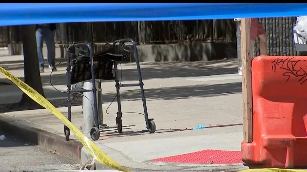 Woman 69, fatally shot in face on New York City street: Police