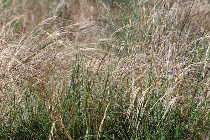 Steuben and Wayne Counties Move to ‘Drought Watch’ as Conditions Improve