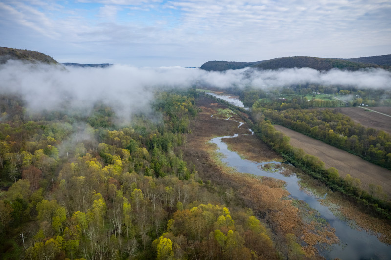 Land Trust Adds to Ithaca’s Emerald Necklace