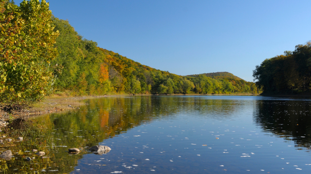 30-year-old man drowns near family picnic area while attempting to swim across river