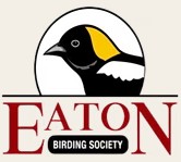 FLX MORNING PODCAST-Eaton Birding Society