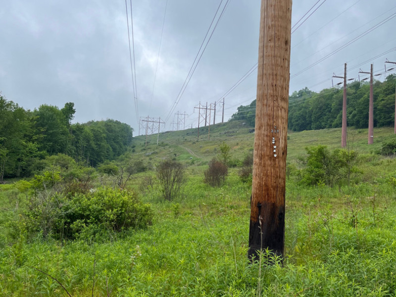 More than 250,000 NYSEG and RG&E Poles Inspected in 2025