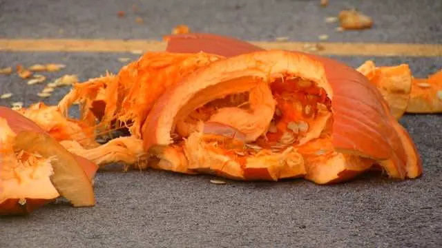 Local Ham Radio Operators Help Keep Thruway Safe During Halloween