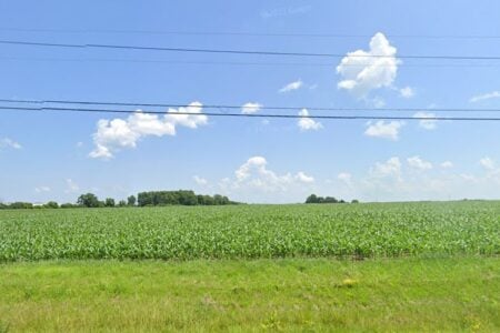 A vast green cornfield under a blue sky with scattered clouds, power lines, and distant trees and farm buildings.