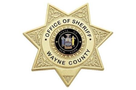 Close-up of the gold Wayne County, NY, Office of Sheriff badge featuring the state seal.