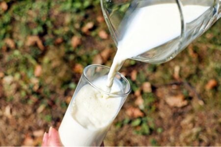Milk pours from a glass pitcher into a glass, outdoors with a blurred green and brown background.