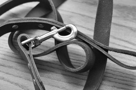 Black and white close-up of a coiled leather dog leash with a silver clasp on a light wood surface.