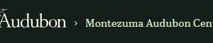 Montezuma Audubon Center logo with a white bird silhouette above 'Audubon' and 'Montezuma Audubon Center' text.