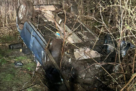 Overturned blue car lies wrecked in a grassy ditch, surrounded by reeds and brush.