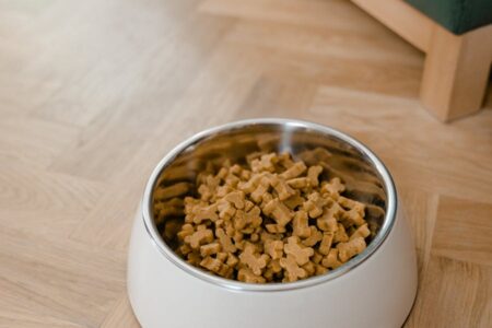 A metal dog bowl filled with bone-shaped treats sits on a wooden floor.