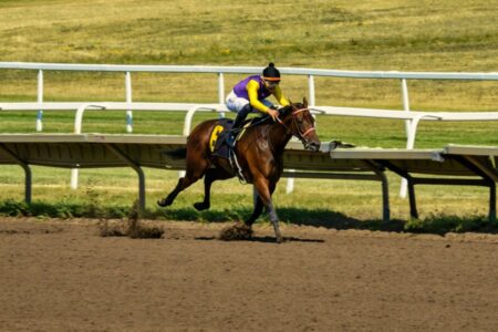 Jockey in purple and yellow silks riding a brown racehorse with number 6 on a dirt track, kicking up dirt.