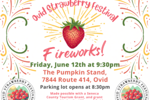 Promotional poster for 40th Annual Ovid Strawberry Festival Fireworks, June 12th at The Pumpkin Stand, Ovid.