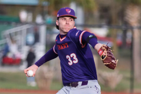 Hobart College baseball player #33 pitches in a purple uniform on the field.