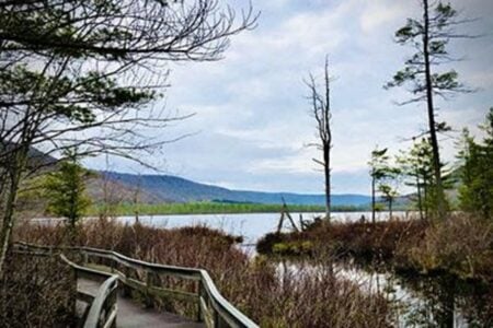 A wooden boardwalk curves through wetlands towards a lake, with bare trees and distant hills under a cloudy sky.