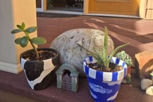 Jade plant in cow-print pot, succulent in blue cloud pot, with a rock and fairy gate on a sunny porch.