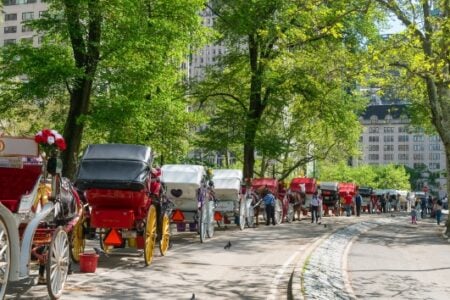 Horse-drawn carriages await passengers along a path in Central Park, surrounded by green trees and city buildings.