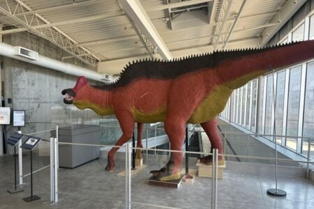 Red and yellow dinosaur model with a prominent head crest and spiky back, displayed in a modern museum hall.