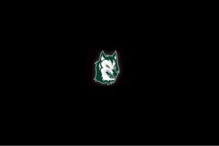 Snarling green and white wolf head logo with yellow eyes on a black background.
