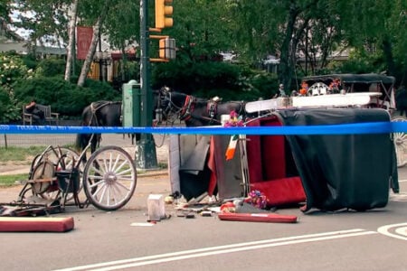 Overturned horse-drawn carriage and debris on a park road, secured by blue police tape. A horse stands nearby.