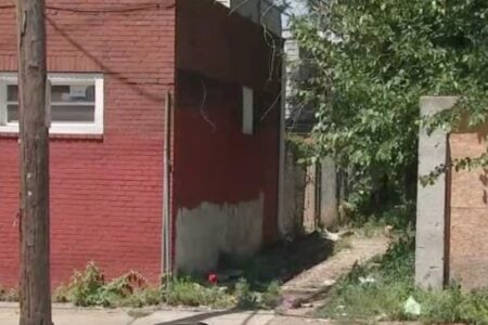 Overgrown dirt alleyway between red brick buildings on a sunny day, with a wooden utility pole to the left.