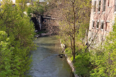 A creek flows through bright green foliage, under a concrete bridge, with a peach multi-story building on the right.