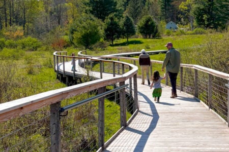 A family walks on a winding wooden boardwalk through a lush green wetland on a sunny spring day.