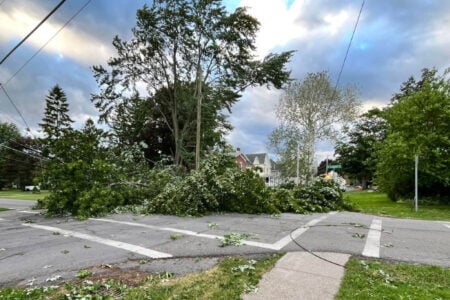 Fallen trees and downed power lines block a street intersection in the Finger Lakes.