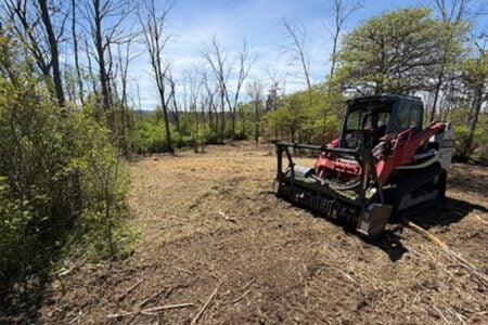 A red and white compact track loader with a mulcher attachment rests on cleared, mulched ground in a wooded area under a blue sky.