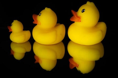 Three yellow rubber ducks, varying in size from small to large, reflected on a shiny black surface.