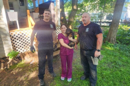 Two dirty rescuers and a woman hold a muddy dachshund they saved from under a house in a sunny yard.
