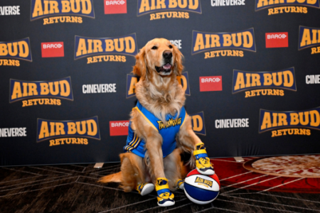 Golden retriever in a blue basketball jersey and sneakers poses with an "Air Bud Returns" basketball on a branded backdrop.